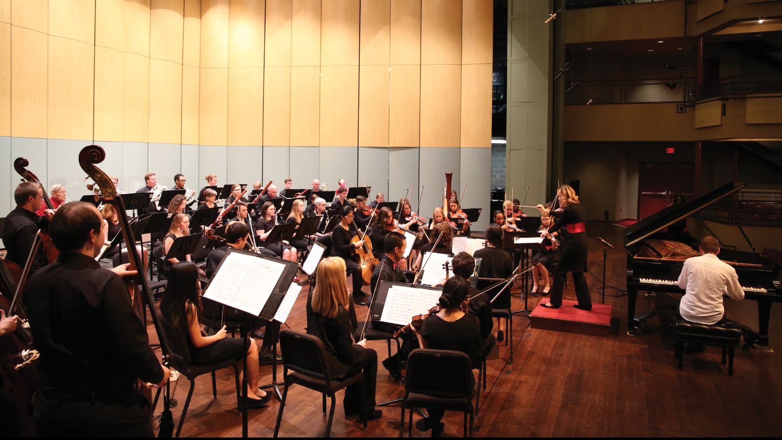 Perseverance pays with a prestigious AllSteinway designation for Davidson