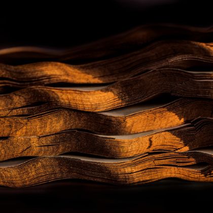 /steinway.com-americas/zh_CN/news/features/utilty/flood