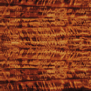Tiger Mahogany